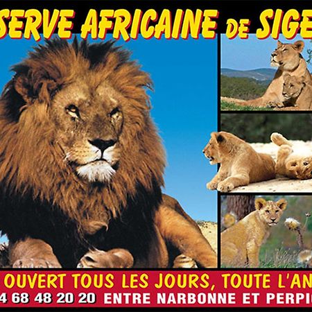 Le Mieukerien - Reserve Africaine 15 Mn, Plage 200M, Terrasse Port-la-Nouvelle Esterno foto