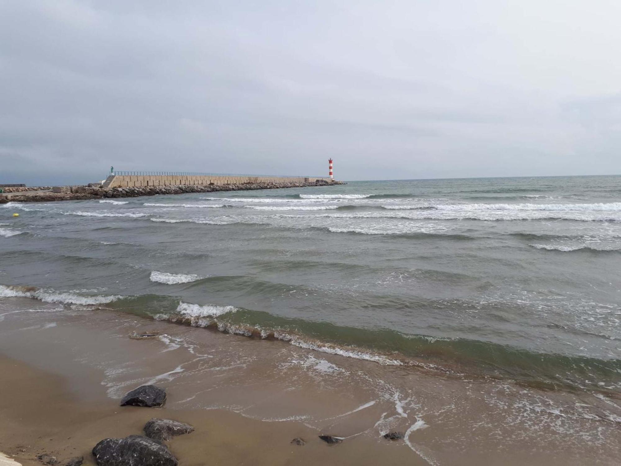 Le Mieukerien - Reserve Africaine 15 Mn, Plage 200M, Terrasse Port-la-Nouvelle Esterno foto