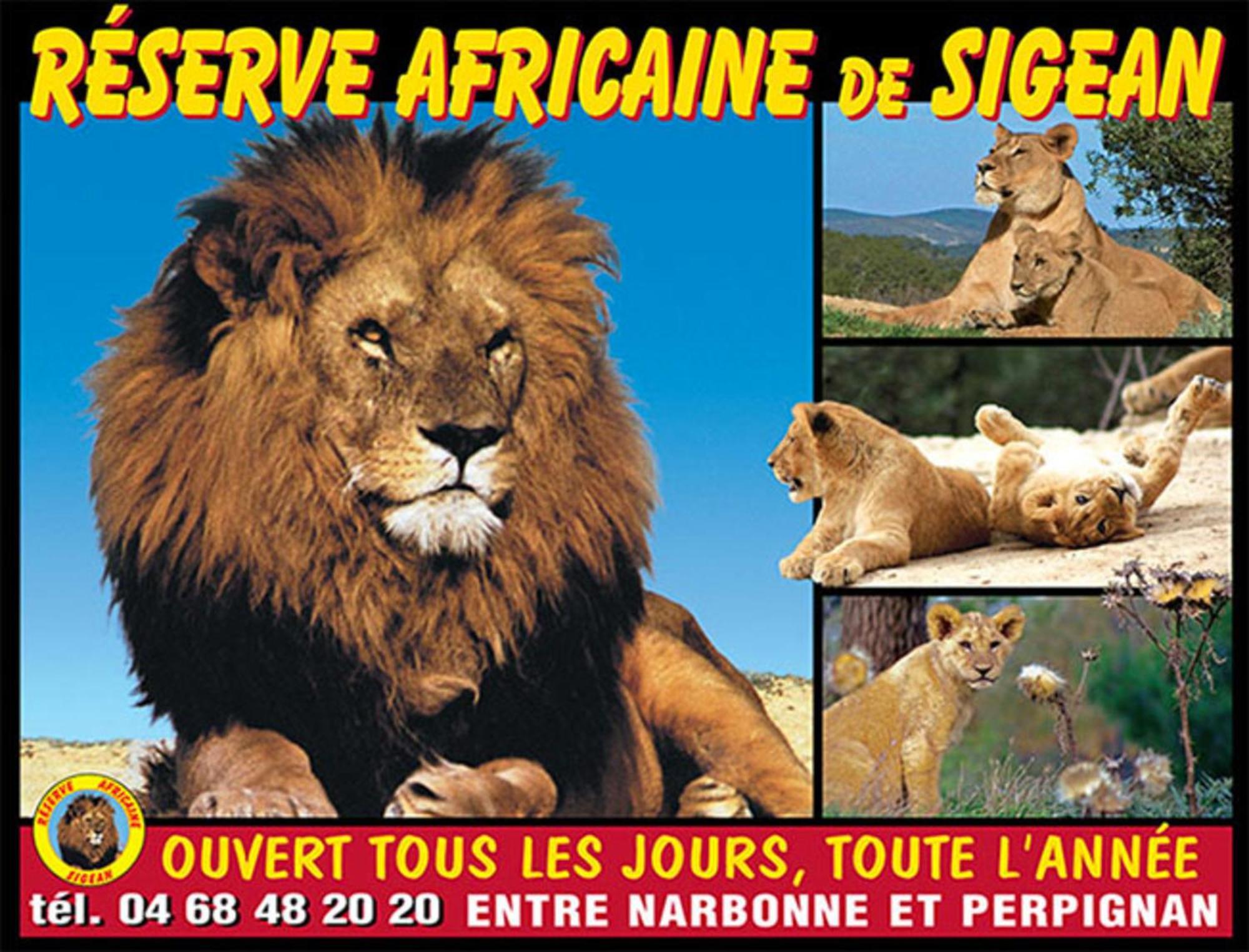 Le Mieukerien - Reserve Africaine 15 Mn, Plage 200M, Terrasse Port-la-Nouvelle Esterno foto